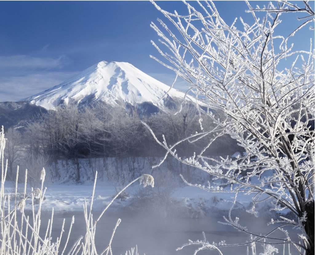 Mt. Fuji in Winter