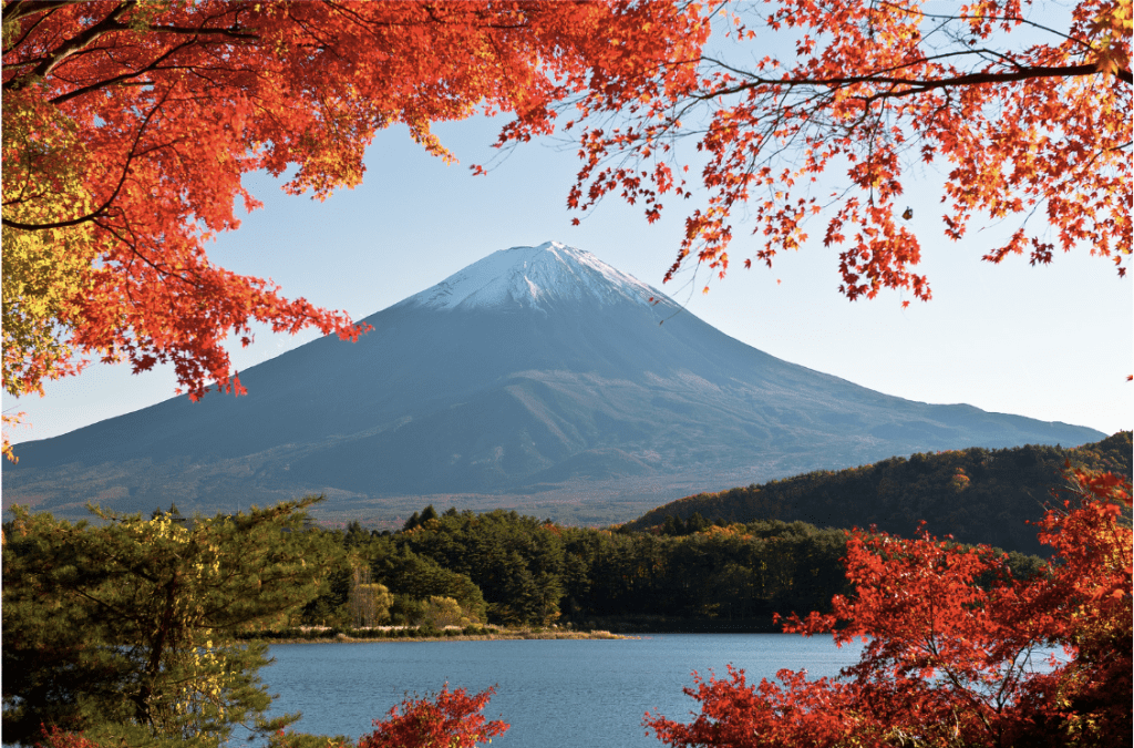 Mt. Fuji in Autumn