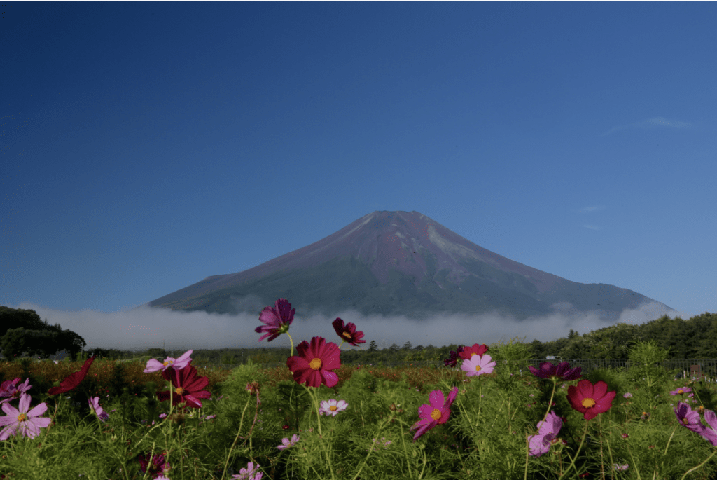 Mt. Fuji in Summer